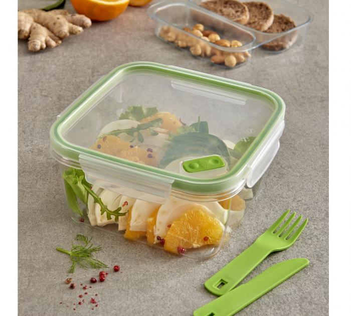 Snips by Widgeteer Lunchbox Double Case Tritan Renew Rectangular .80L